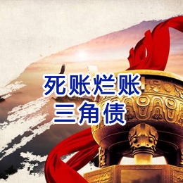宝丰要债公司